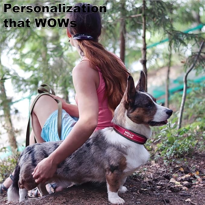Personalized Dog Collar with Name and Phone Number | Durable Metal Buckle | Ultra Wide Soft Neoprene Padded | Adjustable Reflective Weatherproof Dog Collar for Large Medium and Small Dogs