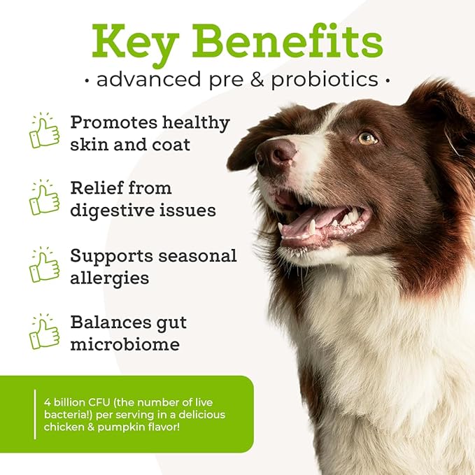 Dr. Joseph's VetPro Complete Advanced Pre & Probiotics Powder for Dogs, 90 Scoops, Supports Gut Health, Diarrhea, Digestive Health & Seasonal Allergies, Chicken/Pumpkin Flavor, Add to Food