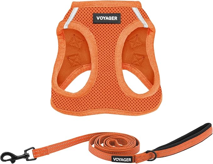 Voyager Step-in Air All Weather Mesh Harness and Reflective Dog 5 ft Leash Combo with Neoprene Handle, for Small, Medium and Large Breed Puppies by Best Pet Supplies - Set (Orange), XL