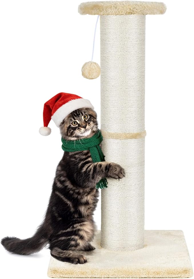 PAWSCRAT Cat Scratching Post 32" Tall, Large Diameter Natural Sisal Cat Scratch Post with Dangling Ball, Scratch-Resistant and Durable Tall Cat Scratcher for Indoor Cats, Protect Your Furniture, Beige