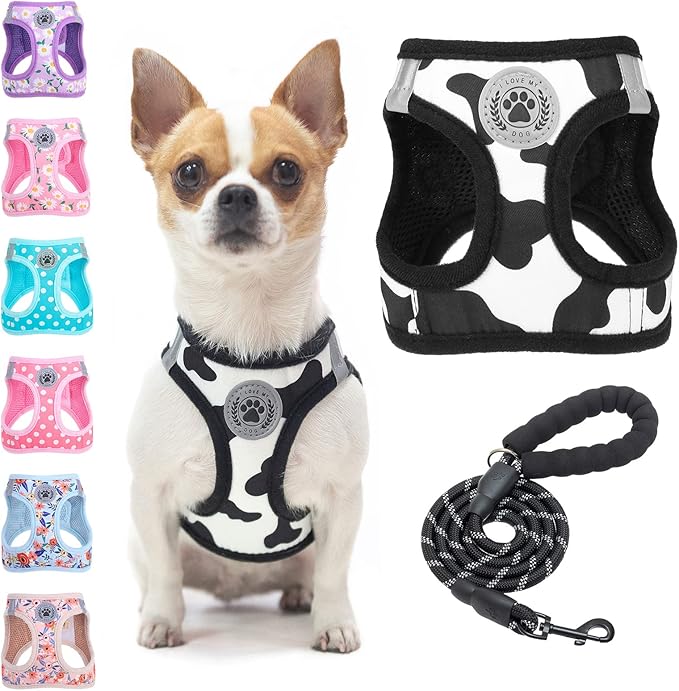 BEAUTYZOO Step in Dog Harness and Leash Set, Floral Pattern Reflective Dog Harness No Pull No Choke Puppy Harness for XXS XS S Dogs Cats, Soft Padded Mesh Vest Harnesses for Girl and Boy Pets