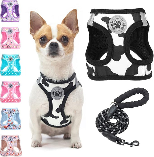 BEAUTYZOO Step in Dog Harness and Leash Set, Floral Pattern Reflective Dog Harness No Pull No Choke Puppy Harness for XXS XS S Dogs Cats, Soft Padded Mesh Vest Harnesses for Girl and Boy Pets