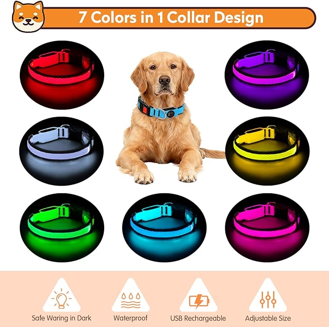 LED Dog Collar, Light Up Dog Collar USB Rechargeable, Nylon Adjustable Comfortable Soft Bright RGB 7 Colors Changeing Safety Light Glowing Collar for Small and Medium Dogs(Small,Blue)