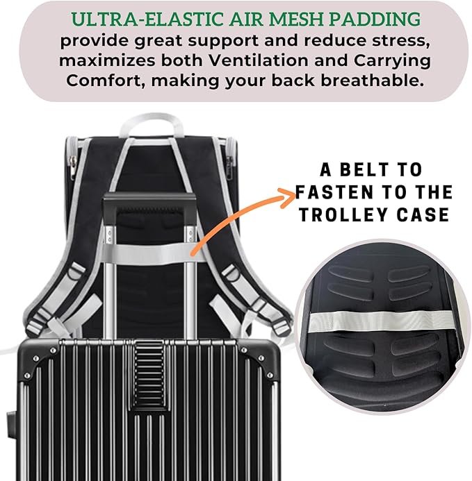 Lollimeow Cat Backpack Carrier, Ideal for Small Animals & Puppies, Airline Approved,Safe for Travel, Hiking, Vet Transport & Outdoor Use Fully Ventilated Design for Ultimate Comfort On-The-Go