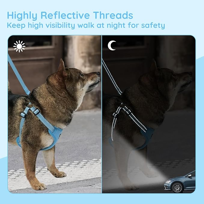 BELLA & PAL Adjustable Step-in Dog Harness, Puppy No-Pull Vest with Leash Set for XS/Small & Medium Dog, Breathable All-Weather Mesh, Reflective Strip, Secure Hook & Loop, Buckle Closure