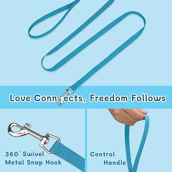 Small Dog Harness and Leash Set, Reflective Soft Breathable Mesh Vest, 3 Buckles, Adjustable Neck and Chest,Step in Dog Harness for Walking, Running, Training, Turquoise, S