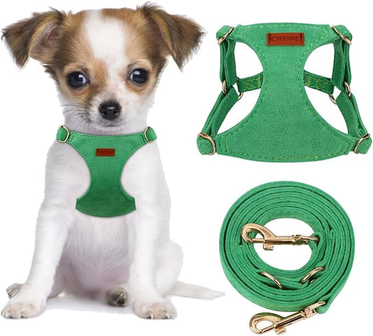 CHEDE No Pull Puppy Harness and Multifunction Dog Leash Set- 8 Colors Soft Adjustable No Choke Escape Proof Cute,Lightweight Pet Vest Harness for Small and Medium Dog (XS, Green)