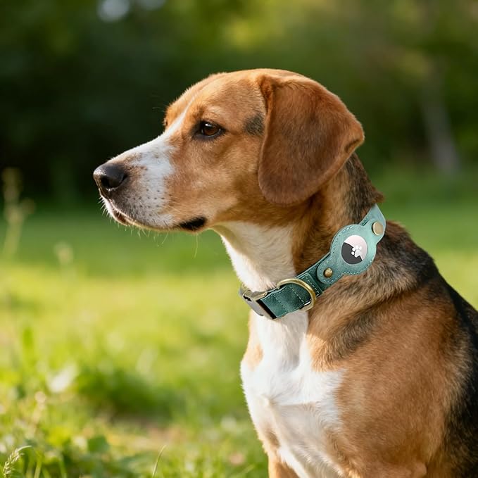 AirTag Dog Collar for Large Dogs - Soft Leather Dog Collar with Apple AirTag Holder and Metal Buckle - Smart Tracker GPS Apple Air Tag Pet Collars (Green, L)