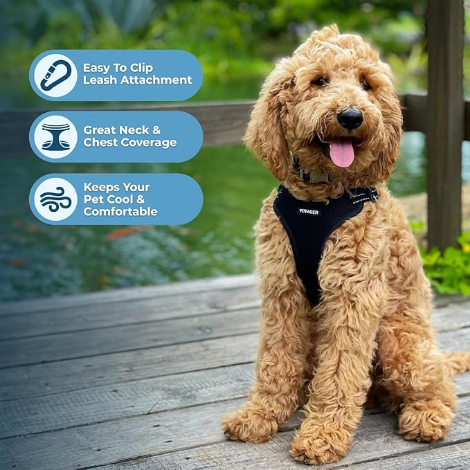 Best Pet Supplies Voyager Mesh Dog Breathable Harness Reflective Stitching, All Weather Adjustable for Walking Training, or Running - Heavy Duty & Durable, Harness (Black), XL