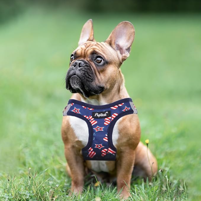 PUPTECK Dog Harness and Leash Set for Small Medium Dogs No Pull Step-in Soft Mesh Puppy Cat Vest Harnesses Reflective at Night, Stars and Strips, Blue, M