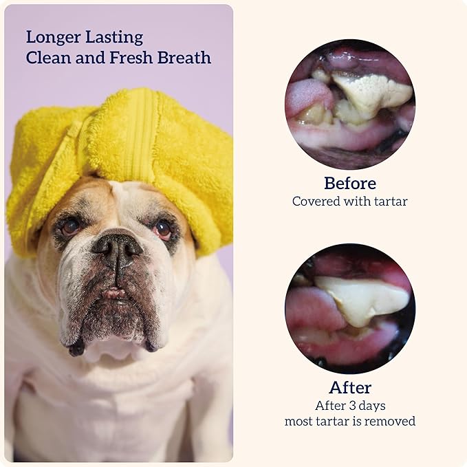 Groovies Slightly Softer, Yet Flexible Dental Chew for Senior Dogs & Delicate Chewers. Powered by USA-Patented DentalFit Tech. No Added Gluten, No Artificial Flavors or Colors. 27oz XLarge (18Chews)
