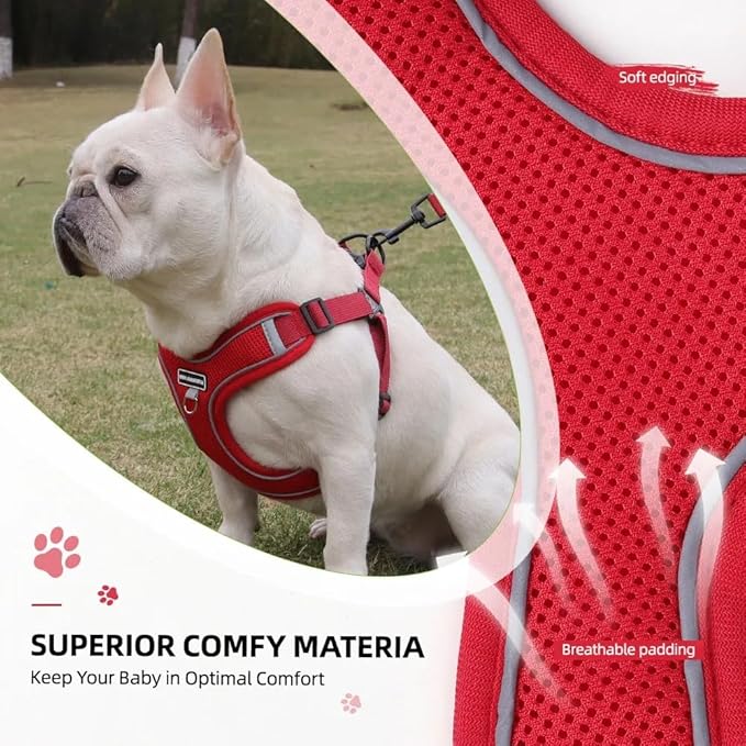 Dog Harness and Leash Set, Adjustable Triangle, Reflective Adjustable Puppy Vest, No Pull Soft Mesh Harness for Small, Medium Dogs, Cats (Red, XL)
