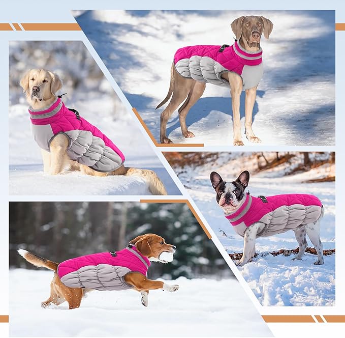Winter Dog Coat,Large Dog Jacket,Waterproof Pet Jacket with Back Zipper,Pet Coat with Harness Built in,Warm Dogs Coat with Fleece Lined,Snow Jacket Clothes French Bulldog Shiba Inu,Rose Red,L