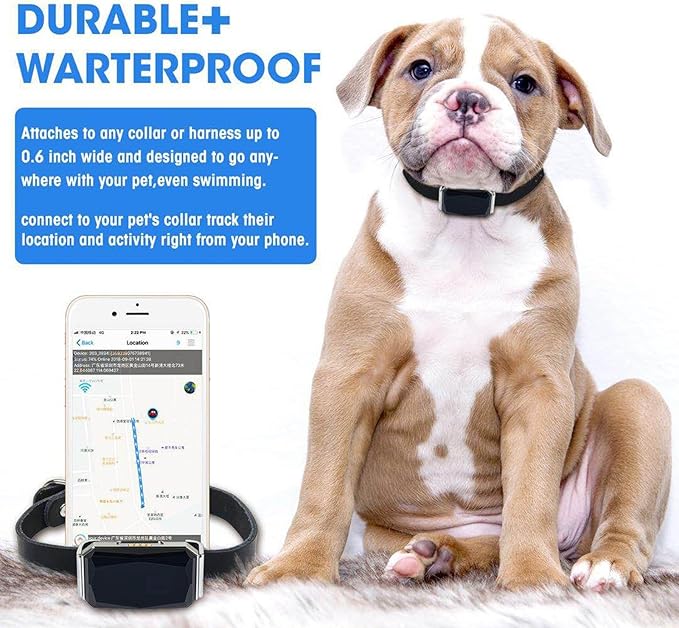 Smart GPS Dog Collar Tracker 2-in-1, Waterproof Pet Collar with App, Unlimited Range, Precise Positioning, Wireless Dog Fence for Small Medium Large Dogs, Compatible iOS/Android, Black