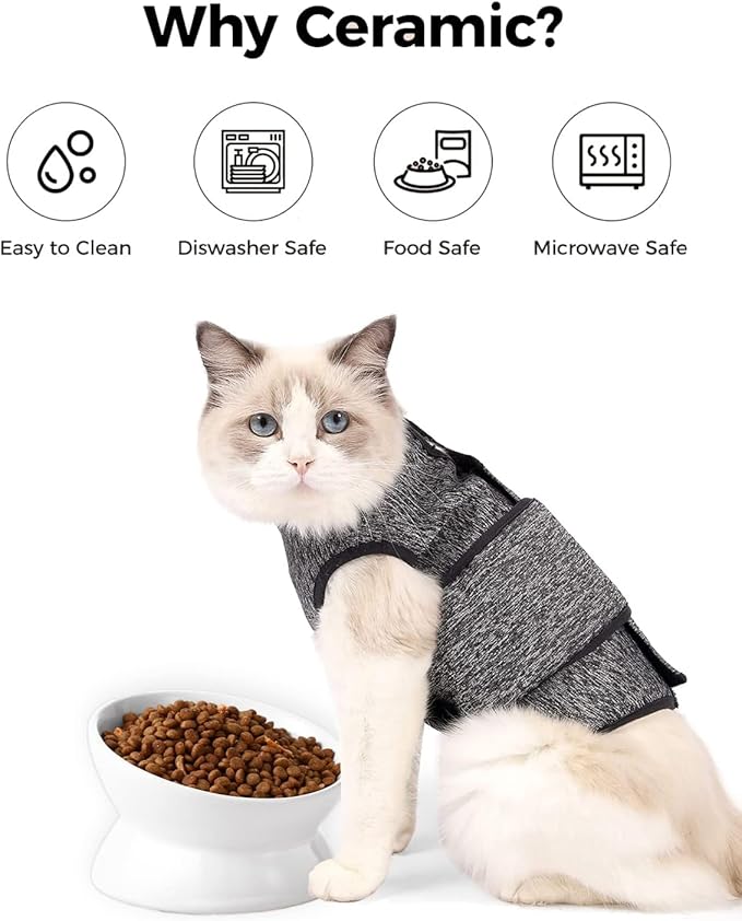 LoeJan Elevated Cat Food Bowl, 5 Oz Ceramic Raised and Tilted Water Bowl, Anti Vomiting and Protect Pets' Spines Dishes for Small Dog, Fat Faced Cat, Kitten (White, 3 Pack)