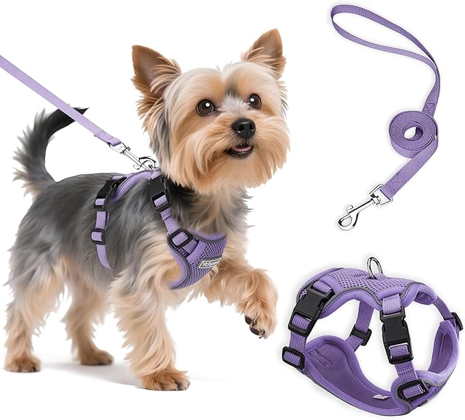 Small Dog Harness and Leash Set, Reflective Soft Breathable Mesh Vest, 3 Buckles, Adjustable Neck and Chest,Step in Dog Harness for Walking, Running, Training, Purple, XS