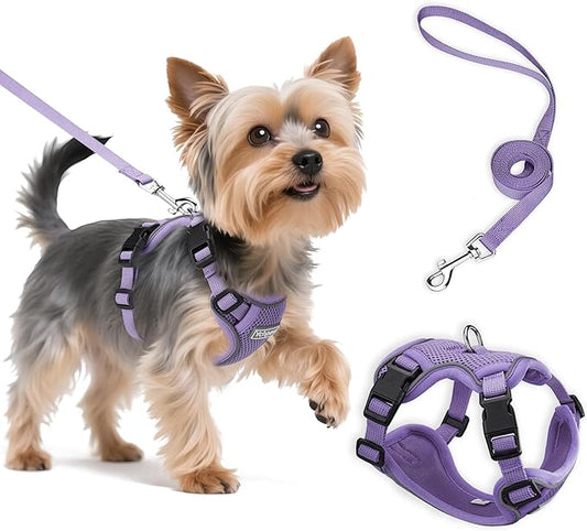 Small Dog Harness and Leash Set, Reflective Soft Breathable Mesh Vest, 3 Buckles, Adjustable Neck and Chest,Step in Dog Harness for Walking, Running, Training, Purple, XS