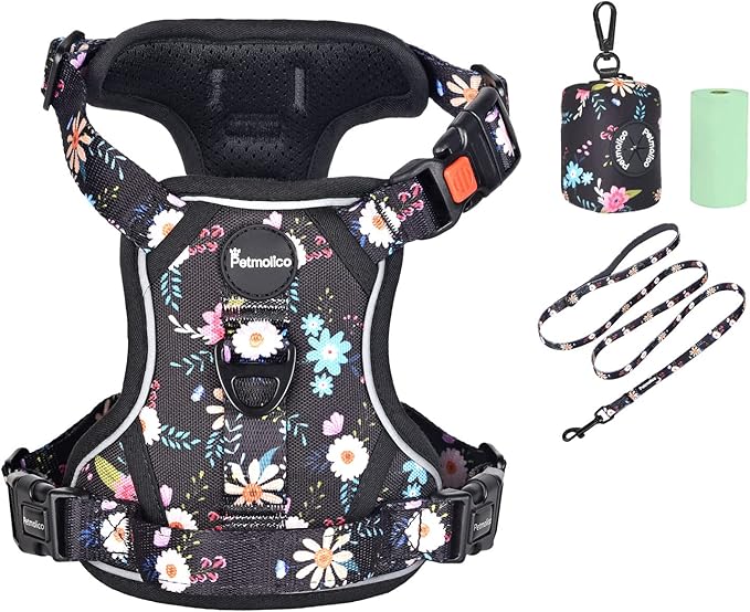 Petmolico No Pull Dog Harness Set with Leash Attachment Easy Control Handle Reflective Harness Vest Small Breed, Puppy Vest and Leash Set with Poop Bag Holder, Small - Floral