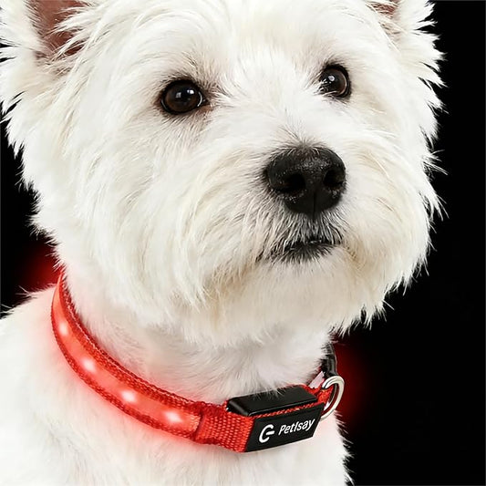 LED Dog Collar for Small Dogs Cats - Fully Waterproof & Adjustable Glow Collar - USB-C Rechargeable for Night Walking, Safety - Flashing Lighted Collar for Dogs(Red,XS)