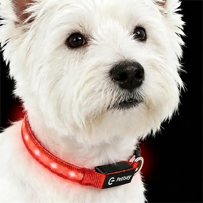 LED Dog Collar for Small Dogs Cats - Fully Waterproof & Adjustable Glow Collar - USB-C Rechargeable for Night Walking, Safety - Flashing Lighted Collar for Dogs(Red,S)