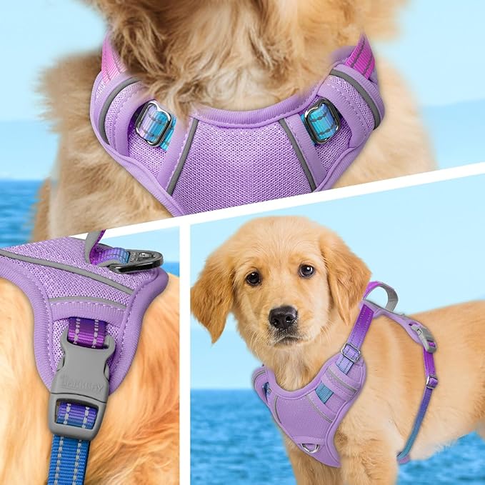 BARKBAY No Pull Dog Harness Large Reflective Dog Harness with Front Clip and Easy Control Handle for Walking Training Running with ID tag Pocket(Lavender Sky,XS)