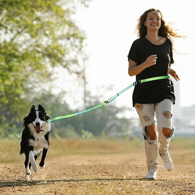 Roses&Poetry Hands Free Dog Leash for Medium Large Dogs Heavy Duty, No Pull Bungee Dog Running Waist Leash for Walking Training with Car Seatbelt 4-6FT