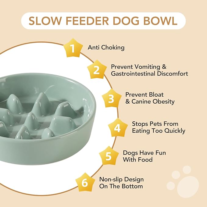 Ceramic 0.9 Cup Dog Bowl Slow Feeder, 6.1inch Slow Pet Food Dish for Small Dog and Cat, Stop Bloat, Preventing Choking(Single Bowl, Light Green)