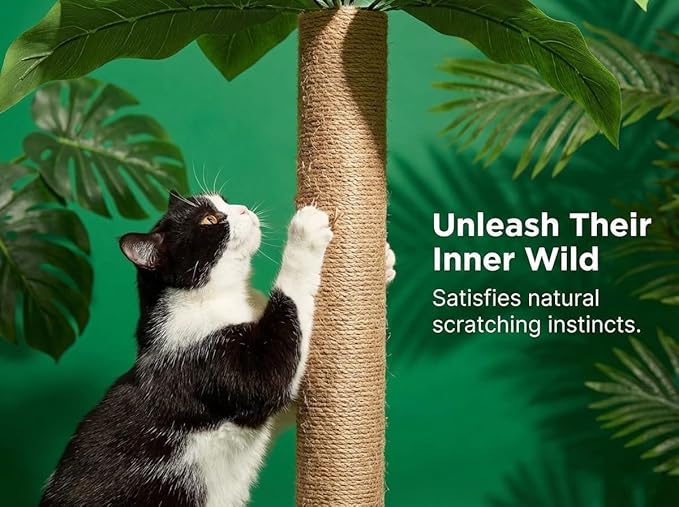 31.5Inch Cat Scratching Post,Cat Scratcher Tree with 3 Scratching Poles & 2 Interactive Dangling Balls,Cats Scratching Posts for Indoor Kitten & Adult Cats