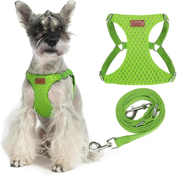 PUPTECK Dog Harness and Leash Set Small Sized, Step-in Cute Puppy Harness, Soft Lightweight Padded Vest, Escape Proof No Pull Pet Harnesses Easy for Walking, Green, M