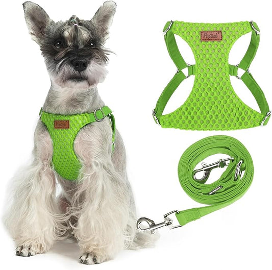 PUPTECK Dog Harness and Leash Set Small Sized, Step-in Cute Puppy Harness, Soft Lightweight Padded Vest, Escape Proof No Pull Pet Harnesses Easy for Walking, Green, M