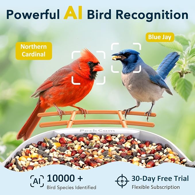 Smart Bird Feeder with Camera 2K Live Real-Time Alert AI Identify with 32G Card DIY Attachments Camera Bird Feeder Solar Powered Wireless Outdoor Birdwatching Gift for Birds Lover, Orange