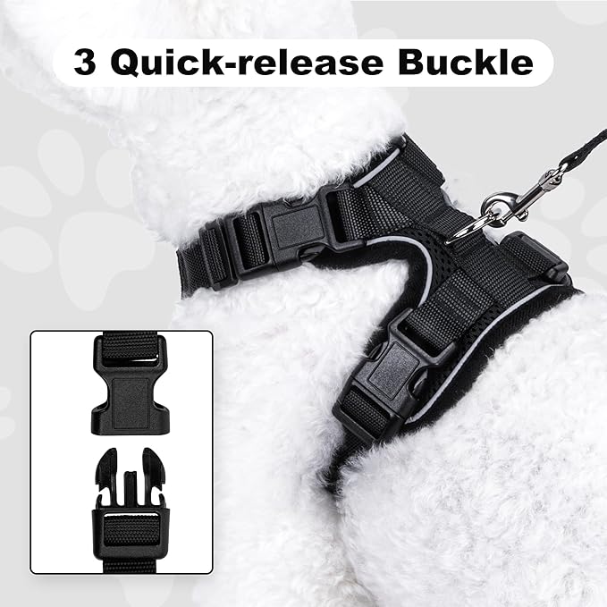 Small Dog Harness and Leash Set，No Pull Adjustable Pet Harness for Small Dogs ，Breathable Mesh Reflective Dog Vest Harness (Black, XXS)