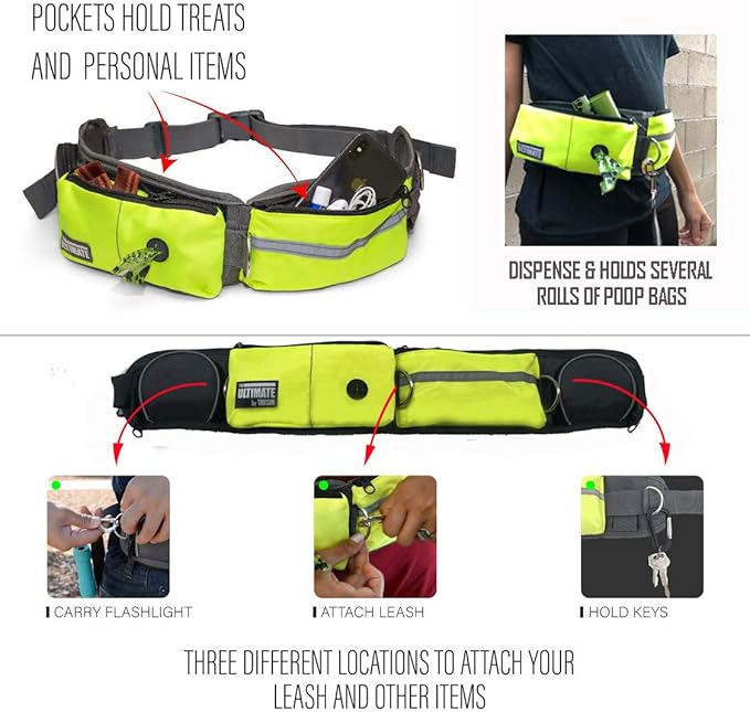 TAKSIN The Ultimate Hands Free Two Dogs Double Leash System for Walking Running Hiking Training, Reflective Bungee Leash, Treat Holder, Poop Bag Dispenser Small Medium Large Dogs (Yellow Deluxe Pack)