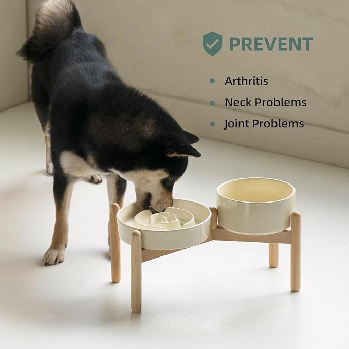 Ceramic 1.2 Cup Raised Slow Feeder Dog Bowl Set, Elevated 6.1inch Bowl and 7.3inch Puzzle Slow Food Dish with Wooden Stand for Medium and Small Dog, Anti-Gulping (2 x Beige+ Stand)
