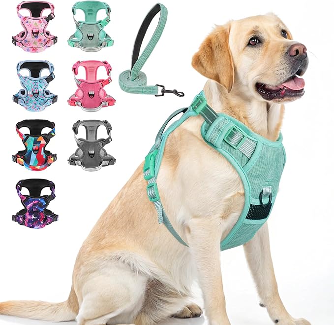 BEAUTYZOO No Pull Dog Harness, Adjustable Dog Harness and Leash Set -Easy Wearing with 3 Buckles/Control Handle,No Choke Soft Padded Reflective Pet Vest for Training Walking Hiking,Solid Aqua Blue L