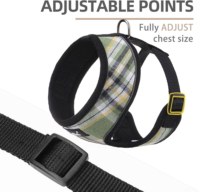 PUPTECK Soft Mesh Dog Harness and Leash Set Pet Puppy Cat Comfort Padded Vest No Pull Harnesses, Green/Yellow, S