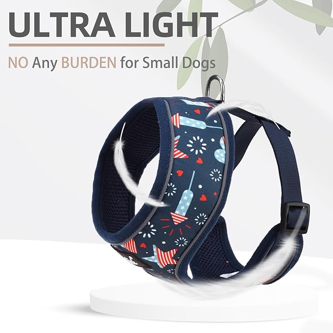 PUPTECK Soft Mesh Dog Harness and Leash Set Pet Puppy Cat Comfort Padded Vest No Pull Harnesses, Independence Dark Blue, M