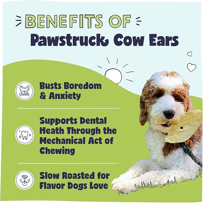 Pawstruck Natural Jumbo Cow Ears for Dogs - Healthy Rawhide Free, Highly Digestible Low Calorie & Long Lasting Dental Chew Treat for Small, Medium, Large Chewers - Pack of 10 - Packaging May Vary