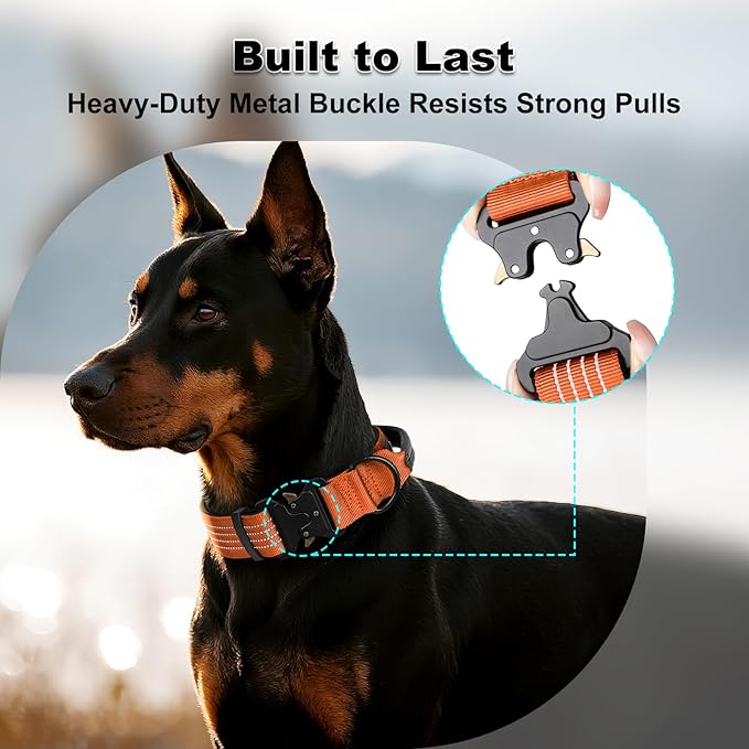Plutus Pet Tactical Dog Collar with Tracker Packet for AirTag, Adjustable Reflective Nylon Collar, Metal Buckle, Leather-Wrapped Handle, Soft Padded for Medium Large Dogs (Orange, M)