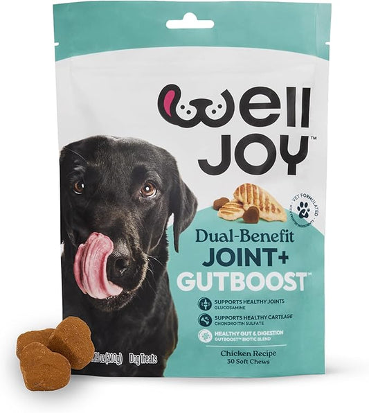 WellJoy Dog Treat Joint+ GutBoost | Glucosamine | Healthy Joints & Cartilage | Dual-Benefit GutBoost Formulation | Vet Formulated | Made in USA | Made with Real Shredded Chicken | 30 Soft Chews