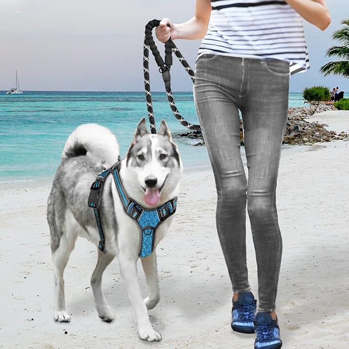 BARKBAY No Pull Dog Harness Large Reflective Dog Harness with Front Clip and Easy Control Handle for Walking Training Running with ID tag Pocket(Blue/Black,XL)