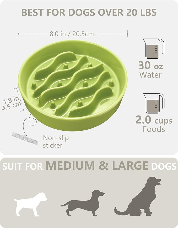 Ceramic Slow Feeder Dog Bowls for Medium and Large Dogs, 2.0 Cups Dog Slow Feeder for Fast Eater, 30oz, 8in, Lime Green