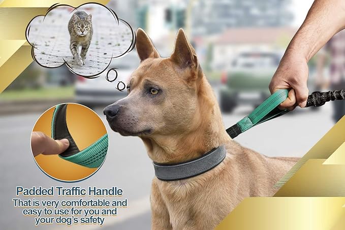 SparklyPets Hands Free Dog Leash for Medium and Large Breeds – Professional Harness with Reflective Stitches for Training, Walking, Jogging and Running Your Pet (Premium Teal, for 1 Dog)