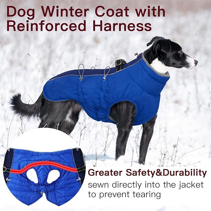 Dog Winter Jacket - XX Large, Warm Zip Up Snowsuit Dog Harness Vest, Reflective, Water-Resistant, Royal-Blue
