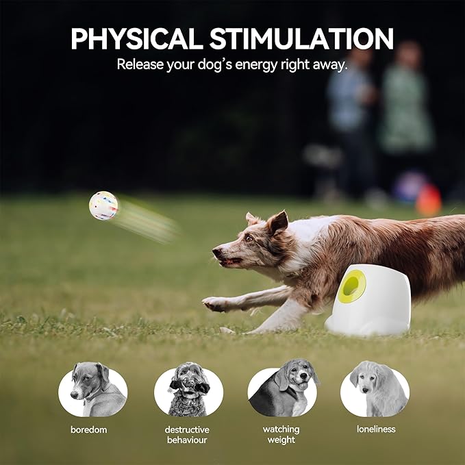 ALL FOR PAWS Automatic Dog Ball Launcher with 2.5in EPTU Balls, Ball Thrower for Medium to Large Dogs, Interactive Dog Fetch Toy for Mental & Physical Exercise