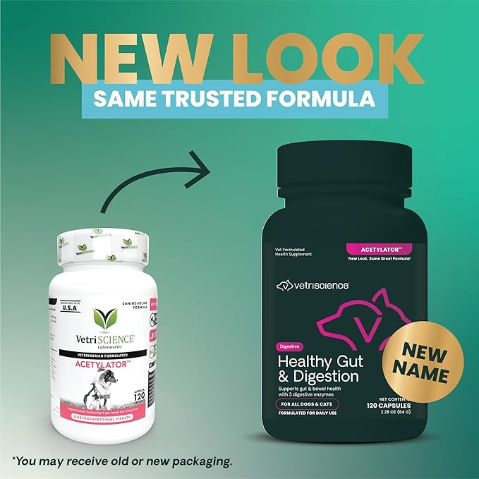 VetriScience Healthy Gut & Digestion Easy-Open Capsules, Acetylator Digestive Enzyme Supplement for Dogs and Cats, Probiotics and Enzymes, Soothe Gut and Bowel Discomfort, 120 Count