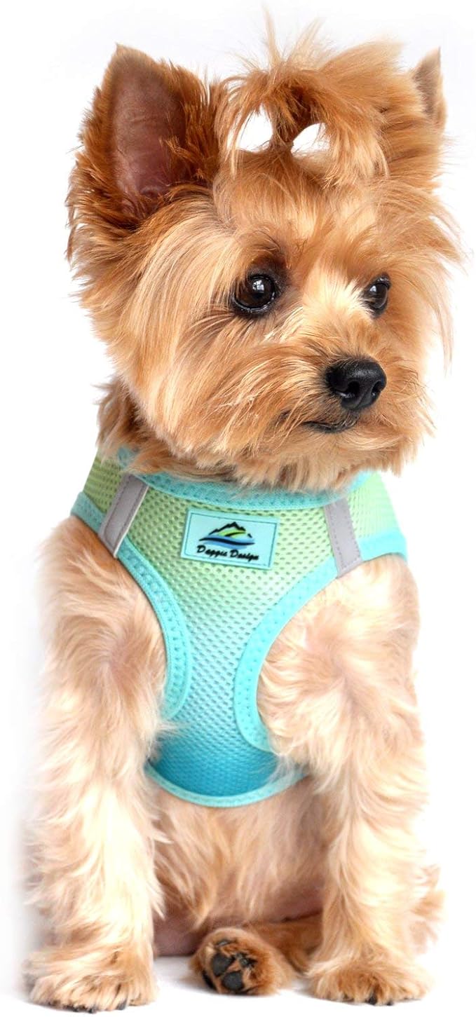 Doggie Design No Choke Dog Harness - Simple Step-in and Go Dog Vest for Small, Medium, and Large Breeds - Breathable Mesh Polyester Pet Harness - Aruba Blue - XL