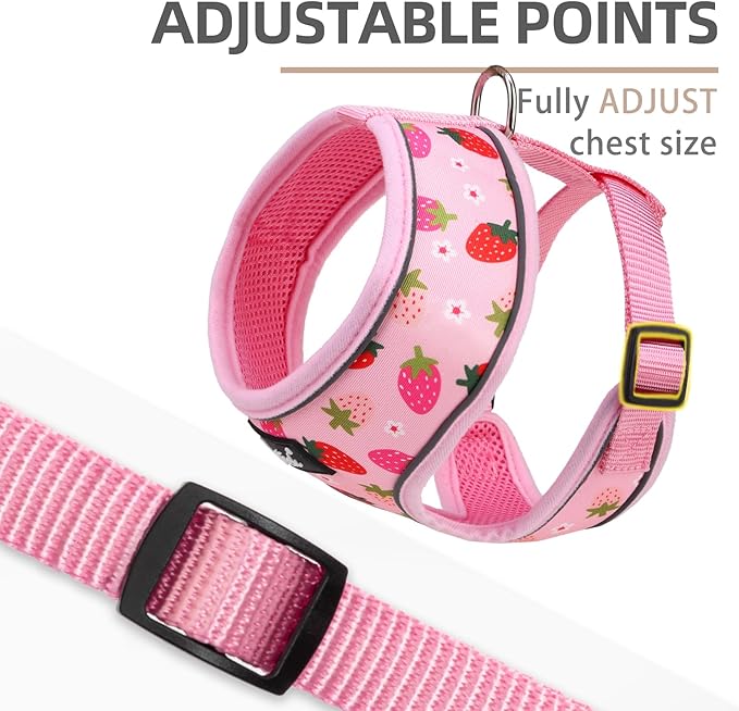 PUPTECK Soft Mesh Dog Harness and Leash Set Pet Puppy Cat Comfort Padded Vest No Pull Harnesses, Strawberry Pink, S