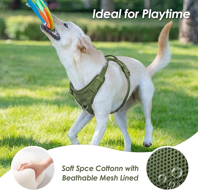 No Pull Dog Harness, Puppy Vest with Front Clip for Small Medium Large Sized Dog (Misty Green,XS)