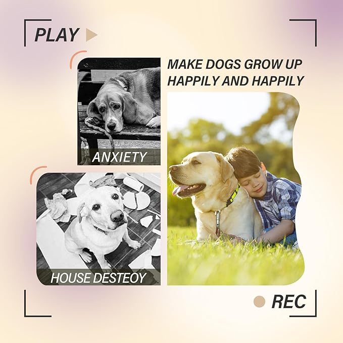 ptlsy Automatic Dog Ball Launcher Interactive Puppy Pet Ball Indoor Thrower Machine for Small and Medium Size Dogs, 3 Balls Included (2 inch) (White2, Remote)